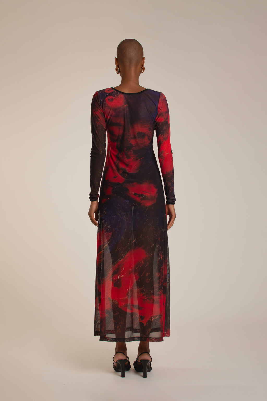 “Red Roses” Mesh Dress